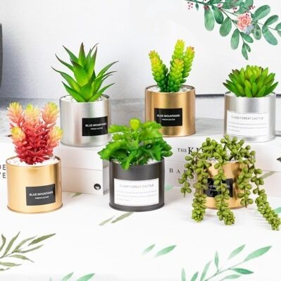 Décor Planter - SW003 - Image 4