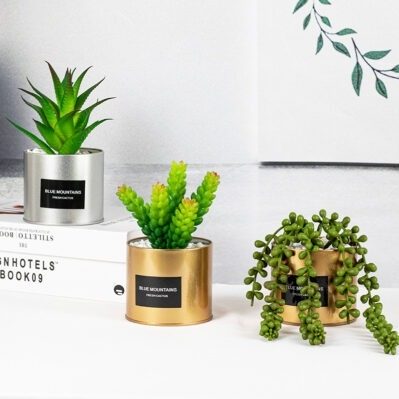 Décor Planter - SW003 - Image 3