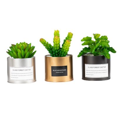 Décor Planter - SW003 - Image 5