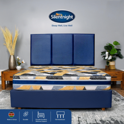 SINZIA PVC DIVAN BED SET - Image 3