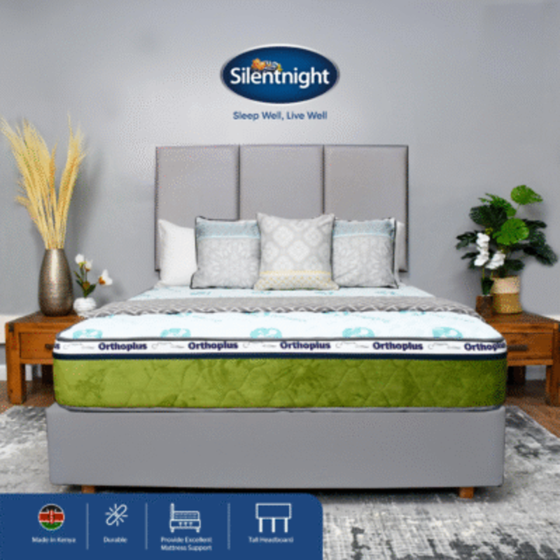 ORTHOPLUS PVC DIVAN BED SET - Image 8