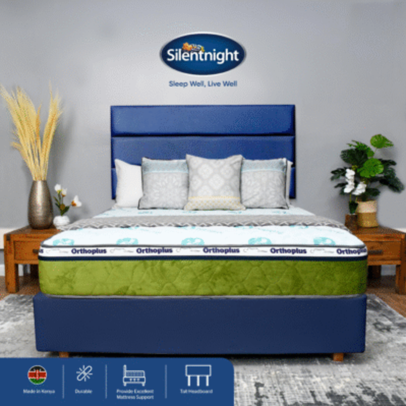 ORTHOPLUS PVC DIVAN BED SET - Image 11