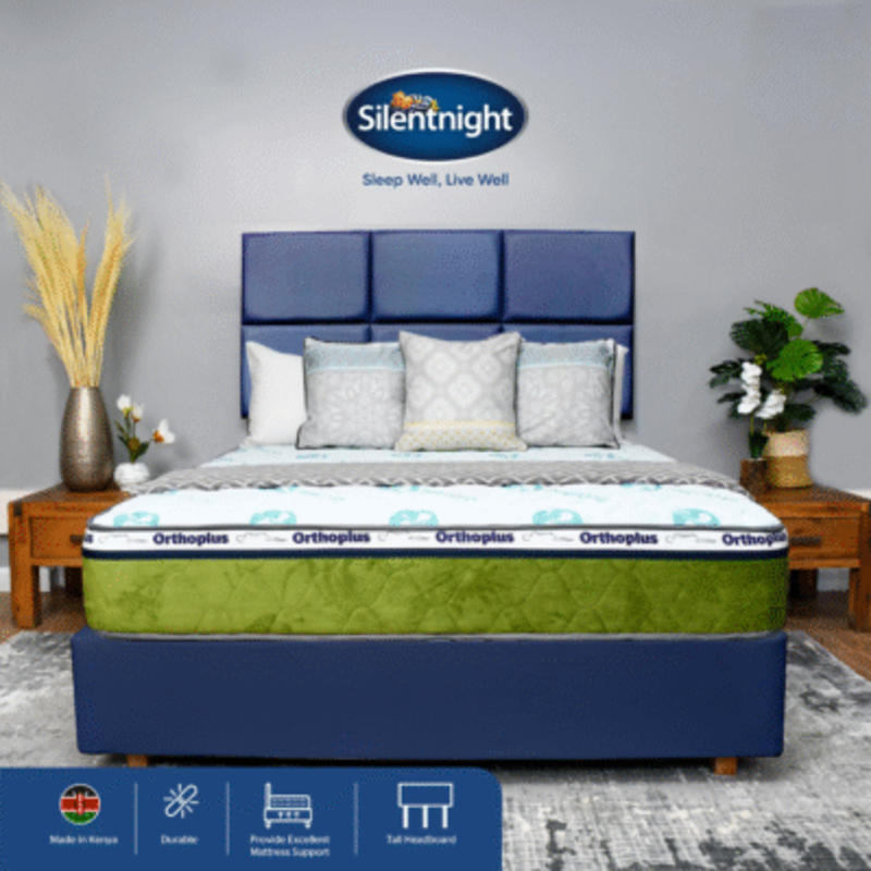 ORTHOPLUS PVC DIVAN BED SET - Image 13