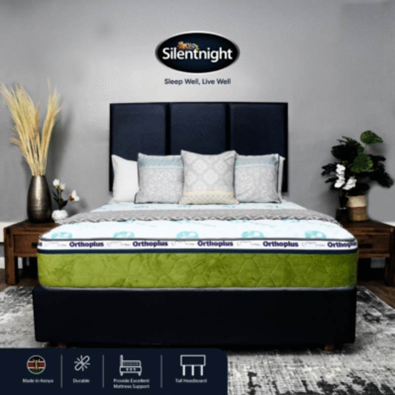 ORTHOPLUS PVC DIVAN BED SET - Image 3